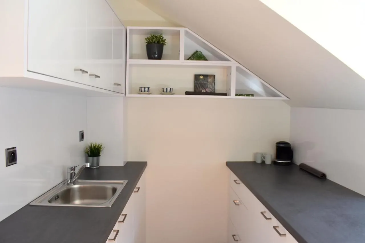 New Central Rooftop With Private Wellness, Sauna & Whirlpool Bath Prague Apartment